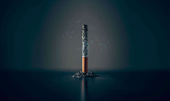 [Translate to Français:] 