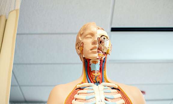 [Translate to Français:] 